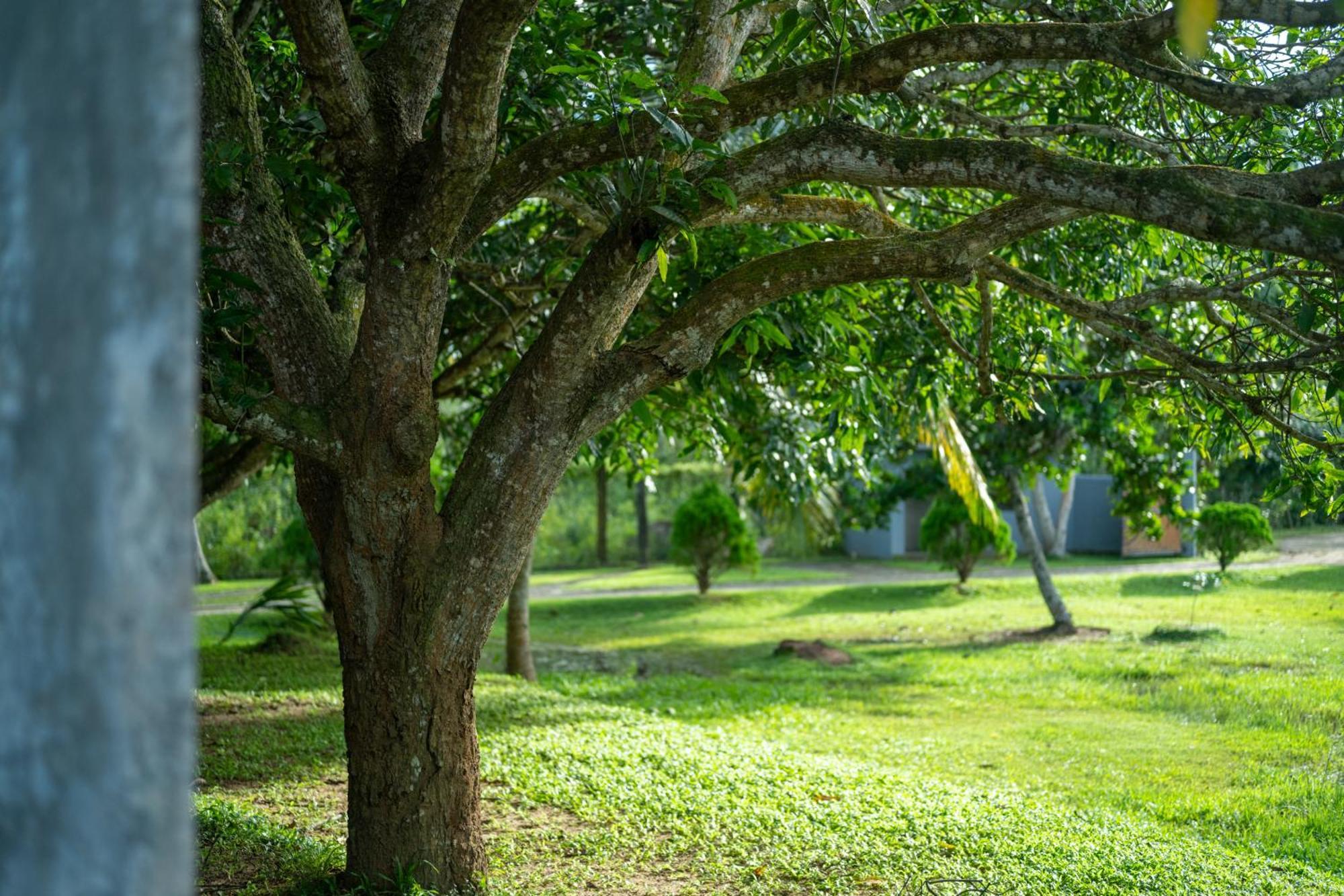 Wirdana Resort & Spa Boossa Exterior photo